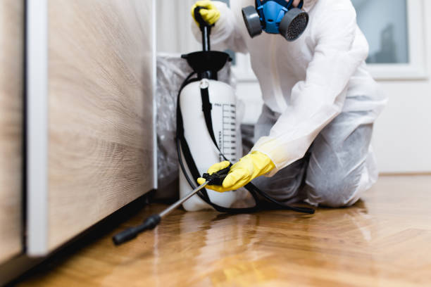 Best Pest Removal Services  in Sorgho, KY