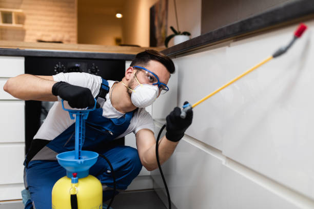 Professional Pest Control in Sorgho, KY