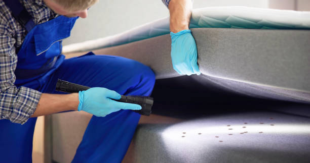 Best Affordable Pest Control Services  in Sorgho, KY